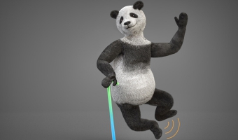 Comiesięczny Panda Dance