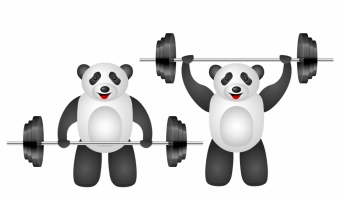 Panda Update 4.0 i aktualizacja Payday Loan