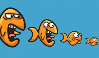 Jak szybko i sprawnie wykryć kanibalizację słów kluczowych?