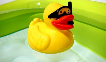DuckDuckGo coraz popularniejszy